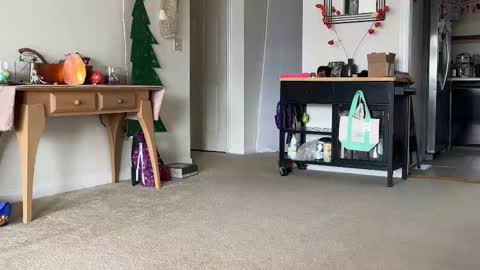 Heidi Brenner - Please check bio for schedule  FAQ online show from 12.14.25