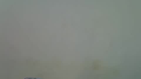 Alura online show from 11.30.25