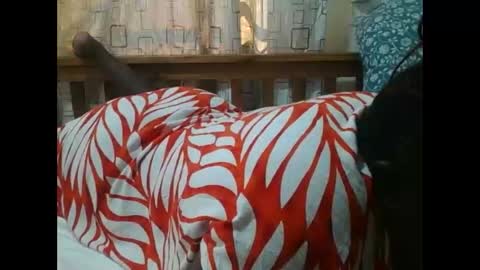 MELVIN online show from 11.25.25