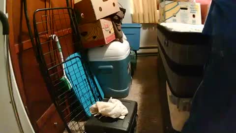 sweetcumfullofaglass online show from 10.12.25