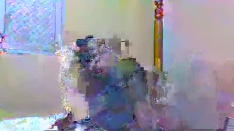 sweetib1 online show from 01.04.25