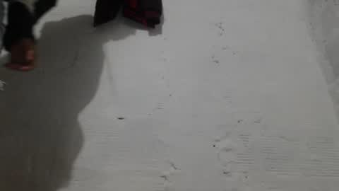 Camilo online show from 02.01.26