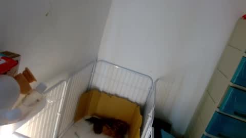 Lilly online show from 01.07.25