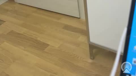 sweetlovelyladylove online show from 04.15.26