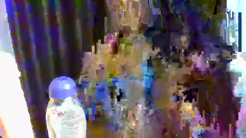 Snapshot of sweetpunani89 chatting on 12.17.25 sweet online show from 12.17.25