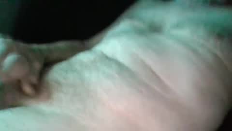 Snapshot of sweetpussylicks chatting on 02.17.25 sweetpussylicks online show from 02.17.25