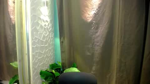 sweetspecial_jessyxx online show from 04.14.26