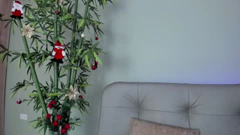    online show from 12.29.24