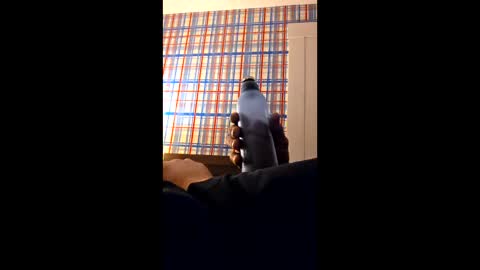 swinginghammer1987 online show from 03.30.26