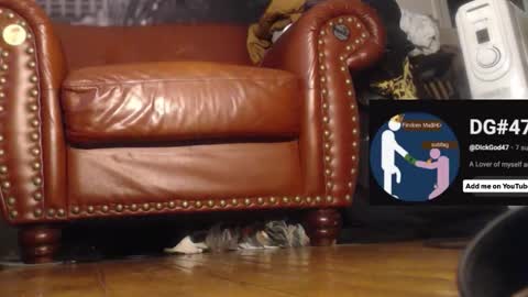 The DickGod online show from 12.01.25