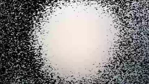 subfordomme online show from 03.28.26