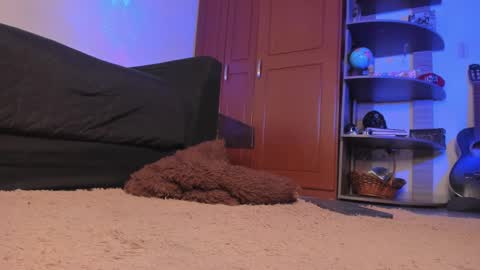 Syd online show from 12.18.24