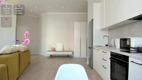 Snapshot of synop_sis chatting on 09.20.25 Mila online show from 09.20.25