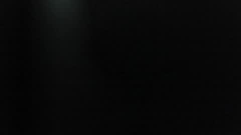 Snapshot of synop_sis chatting on 11.04.25 Mila online show from 11.04.25