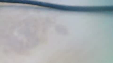 Snapshot of syrius57920 chatting on 12.05.24 syrius57920 online show from 12.05.24