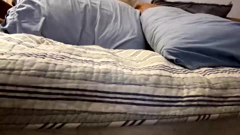 tRex online show from 11.05.25