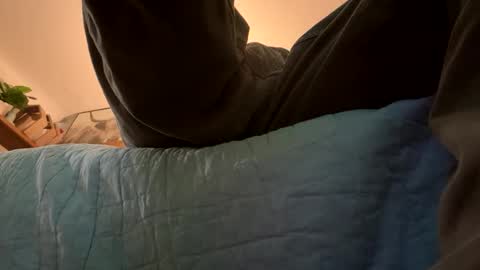 tRex online show from 11.16.25