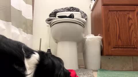 tRex online show from 11.22.25