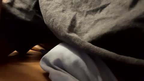 tRex online show from 11.29.25