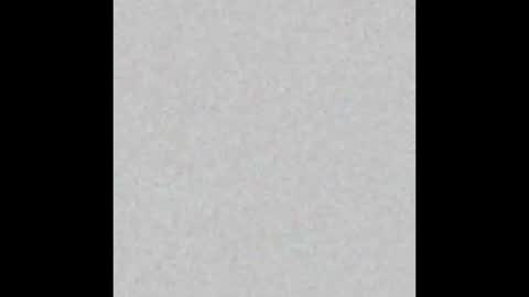 Toneio online show from 03.02.26