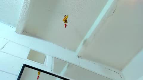 Tafari Zulu online show from 03.02.26