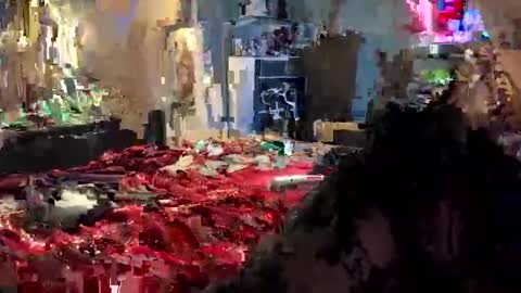 tailorfitted online show from 10.16.25