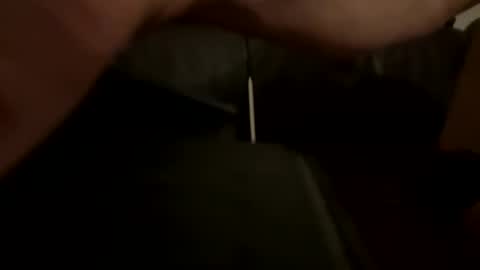 tall_shy_kitty online show from 12.30.24