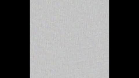 Aligator online show from 01.04.25