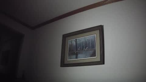 tallnfitstud online show from 11.21.25