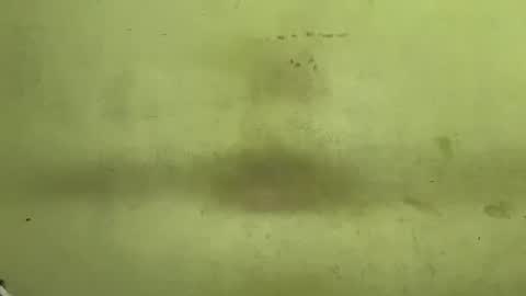 Tanya online show from 11.23.25