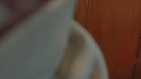 Tamy online show from 10.05.25