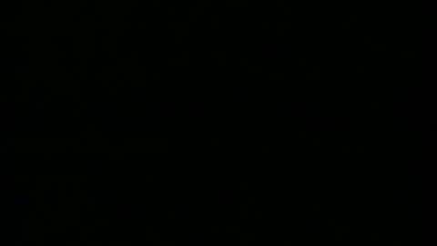 taneyone online show from 12.05.24