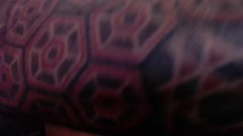 tatted420stoner online show from 10.05.25