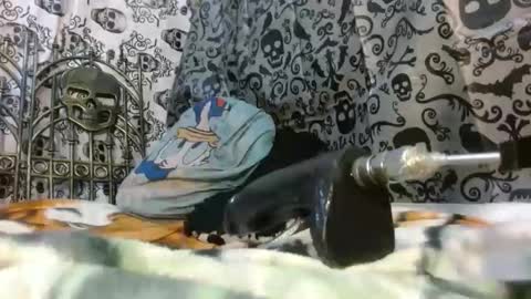 Katty badbitch online show from 10.24.25