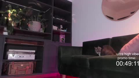 Snapshot of tattoo_ninja_kitty chatting on 12.02.24 Nathalie Hardy online show from 12.02.24