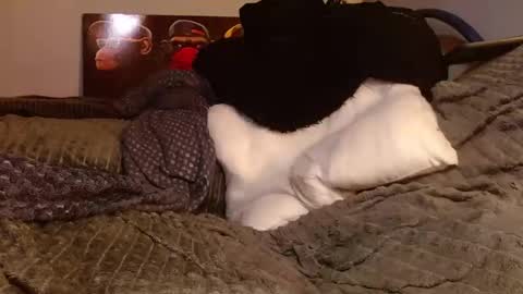 Jean pool online show from 03.28.26