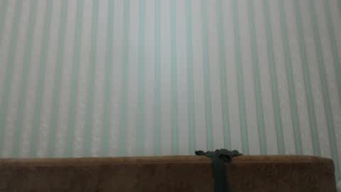 Snapshot of tayler_durden_1 chatting on 12.20.24 ... online show from 12.20.24