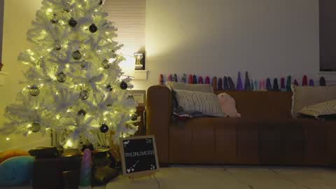 Taylor --  online show from 12.21.25