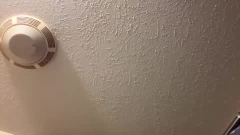 Lilbeebs online show from 03.26.26