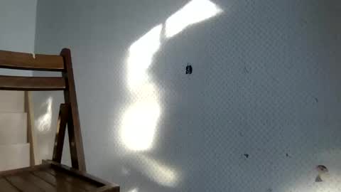 Snapshot of tecovas chatting on 12.30.24 tec0vas online show from 12.30.24