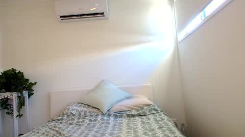 Telea Evans online show from 02.26.25