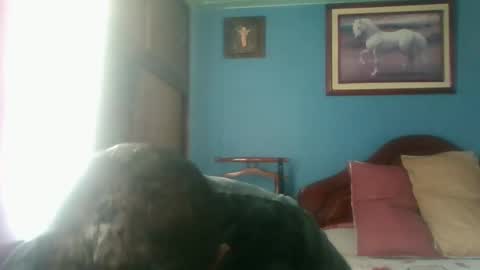 Fabio Canavaro online show from 01.03.25