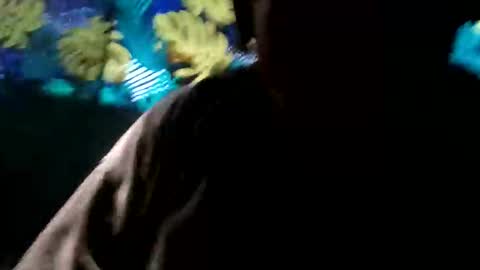 tennesseea online show from 11.23.25