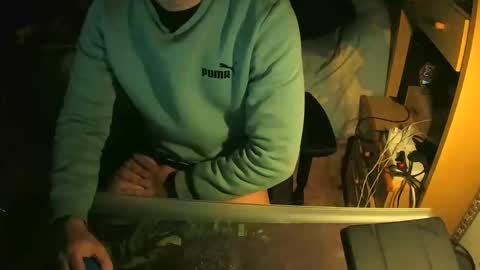 terwosdex online show from 01.13.26