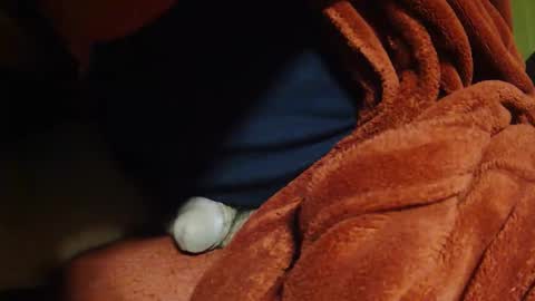 tetuo2 online show from 04.11.26