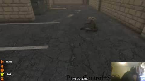 . online show from 10.28.25