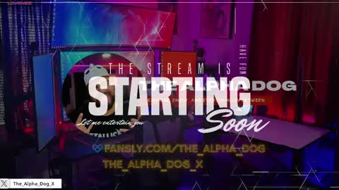 Snapshot of the_alpha_dog_xxx chatting on 04.03.26 the_alpha_dog_xxx online show from 04.03.26