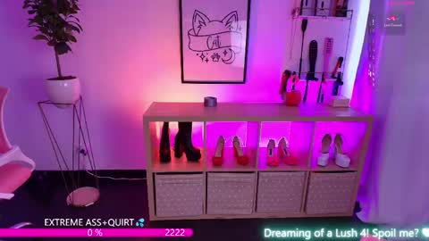 i am Cat  online show from 05.19.26