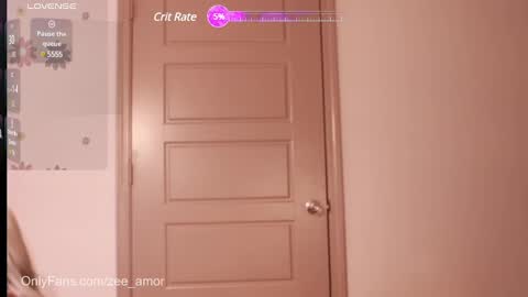 Snapshot of the_hippieprincess chatting on 01.05.25 Zee Amor online show from 01.05.25