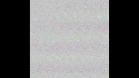 the_lesbian_game online show from 10.19.25